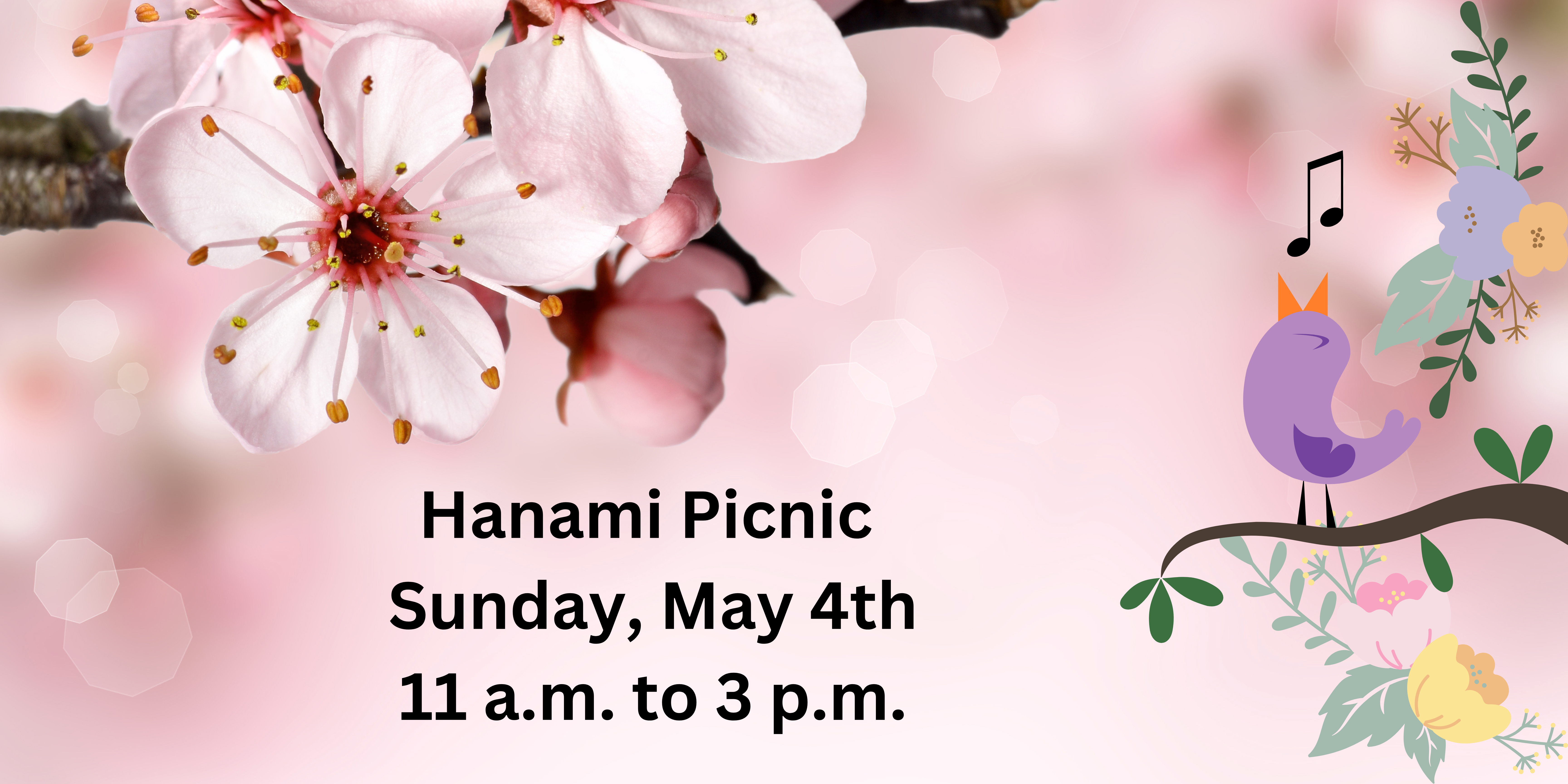 Hanami Picnic 2025 Promotional Image.png